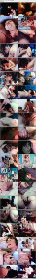 1970s Fuck Fest – Busty And Pregnant (Big Tit Loopland) / 70s Porn – Collection of short films (Elfra Film, Moviestar, Diplomat, Party Films Int”l, Collection, Pussycat / ABA) [1970s, All Sex, Pregnant, Classic, Loops , DVDRip] – Porn torrents download