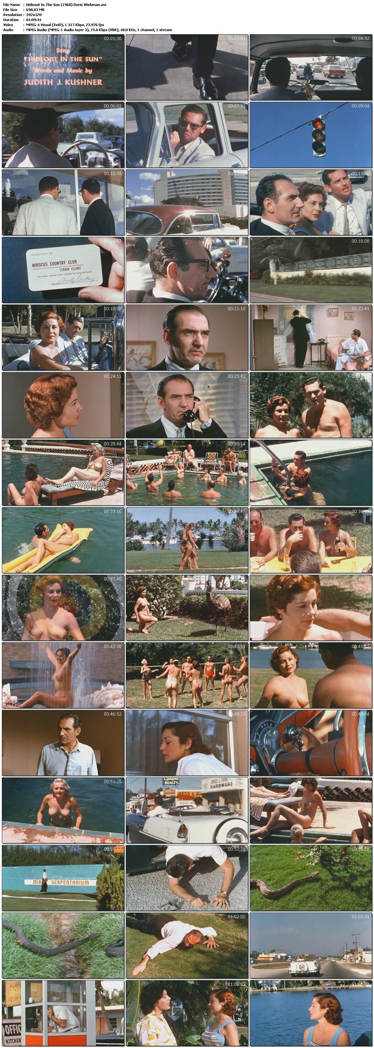 Hideout In The Sun / Solar Asylum (Doris Wishman, Larry Wolk) [1960, Nudism / Naturism Comedy Retro, DVDRip] – Porn torrents download