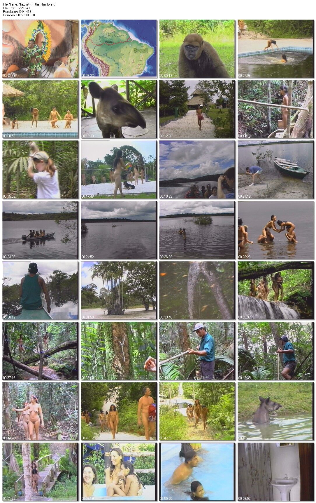 Naturists in the Rain Forest / Naturists in the jungle (Tower Productions) [1999, Documentary Nudism / Naturism, DVDRip] – Porn torrents download