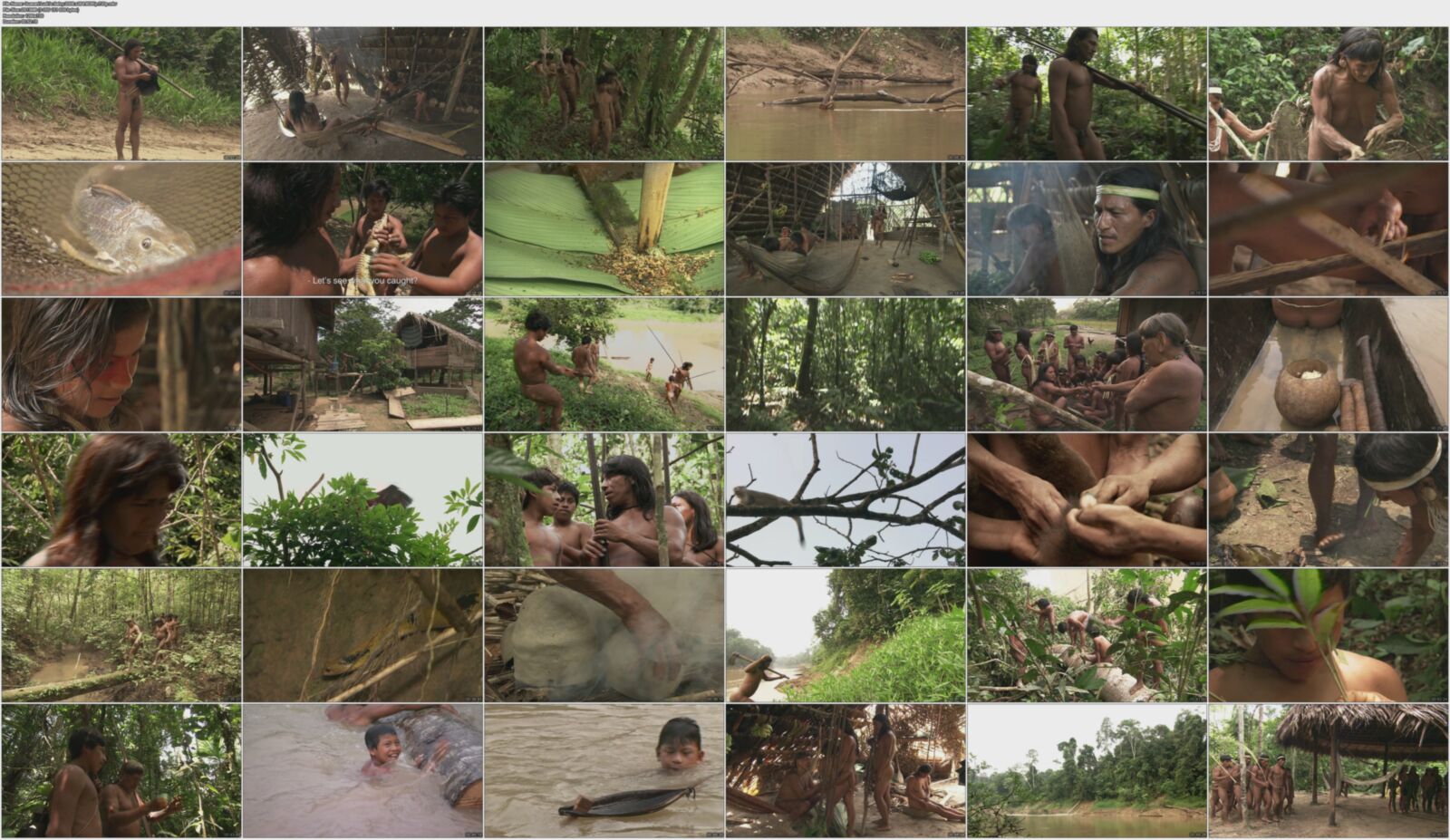 Guarani, The People of the Selva / Guarani, People from Selva (Mark Simonet, MC4, France 5, Planete) [2008, Documentary, Nudism, Naturism, BDRip, 720p] – Porn torrents download