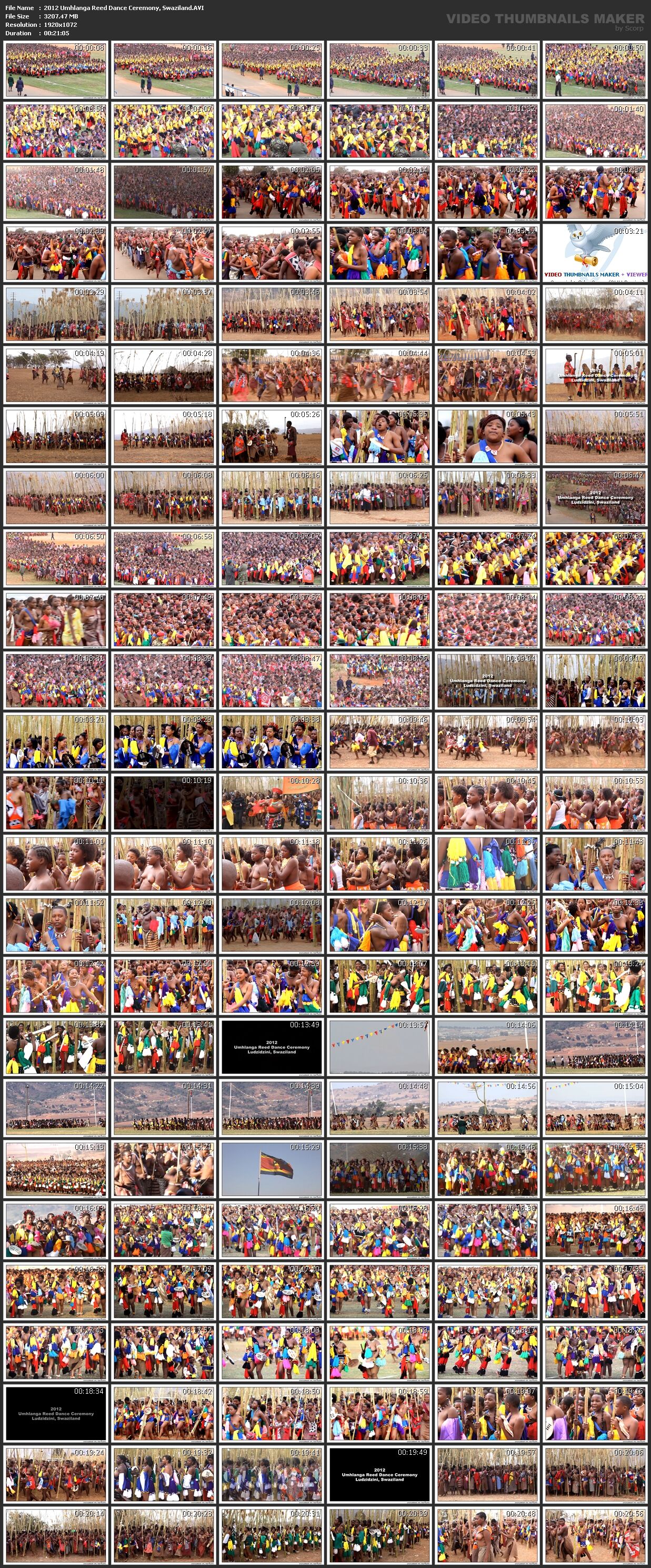 Umhlanga Reed Dance Ceremony, Swaziland / Dance Cane Swaziland [2012, Erotica, HDRip] – Porn torrents download