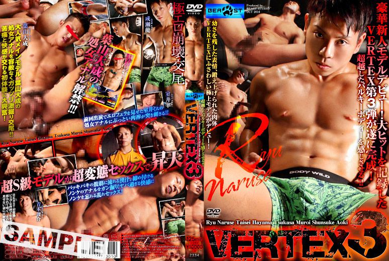 Vertex 3 / Вершина 3 [KBEA243] (KO Company, Beast) [cen] [2016 г., Asian, Twinks, Oral/Anal Sex, BlowJob, HandJob, Fingering, Masturbation, Cumshots, DVDRip]