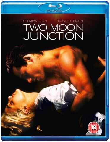 Two moon junction / Merge two moons (Zalman King, DDM Film Corporation, Lorimar Motion Pictures, Planet Productions) [1988 g., Erotic, drama] [rus] – Porn torrents download