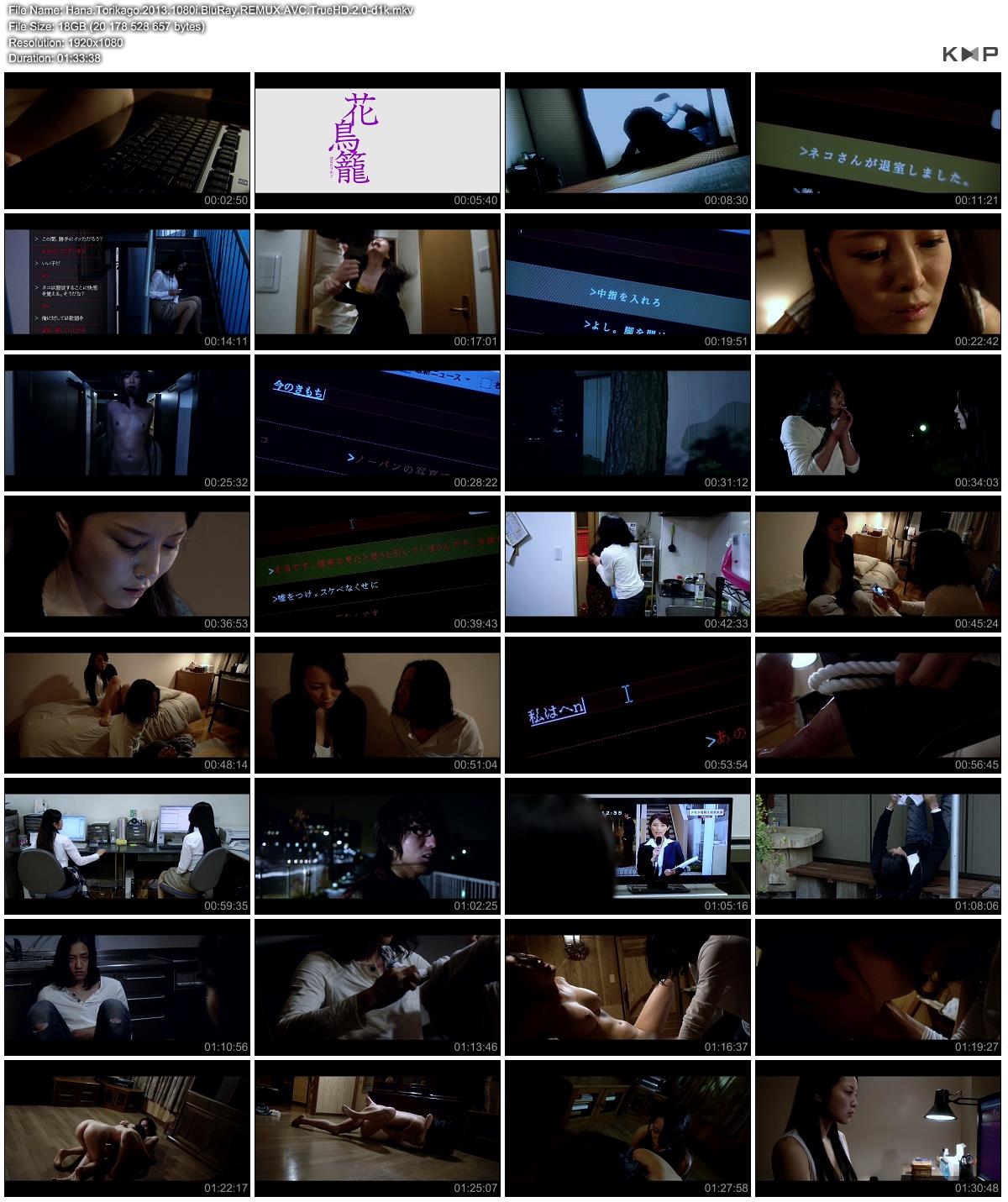 [18.79 GB]Hana Torikago / Hana Torikago (Jun Miyuki, King Record Co. Ltd.) (Yumi Fukuda, Misaki Morino, Shingo Ôta, Uta Kohaku) – Porn torrents download