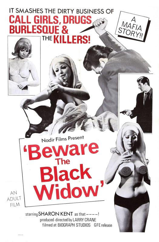 Beware the Black Widow / Берегитесь Черной Вдовы (Larry Crane, Nadir Film, Vinegar Syndrome) [1968 г., Crime, Horror, Erotic, BDRip, 1080p] (Mary Macken, Sharon Kent, John Damon, Luke St. Clair, Uta Erickson, Dean Larents, Danny Nugent, Edmund Nightwood, 