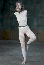 Hazel Hypnotic - Transporter