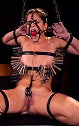 Dee Williams, Victoria Voxxx - Security Risk, Part 2: Misconduct