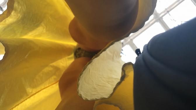 Hidden-Zone Asian Edition Pack 271 19 March 2024 (250 Clips) [Amateur, Asian, Hidden Camera, Skinny, Spycam, Teen, Upskirt, Voyeur, 480p, 540p, 720p, 1080p, 2160p, CamRip]