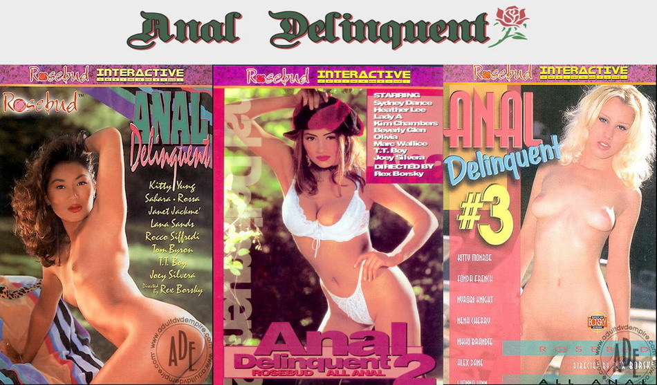 Anal Delinquent 1,2,3 / Анальное хулиганство 1,2,3 (Rex Borsky / Rosebud) [1993-1995 гг., All Sex, Gonzo, Anal, WEB-Rip] (Alex Dane, Beverly Glen, Dominique Bouche, Heather Lee, Kim Chambers, Kitty Yung, Lana Sands, Nikki Brantz, Sahara Sands, Shonna Lynn