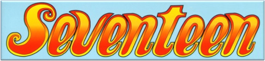 Seventeen (комплект из 72 журналов) [All sex, Anal, Oral, Erotica, Solo, Lesbians, Teen] [1980-1990, Нидерланды, PDF]