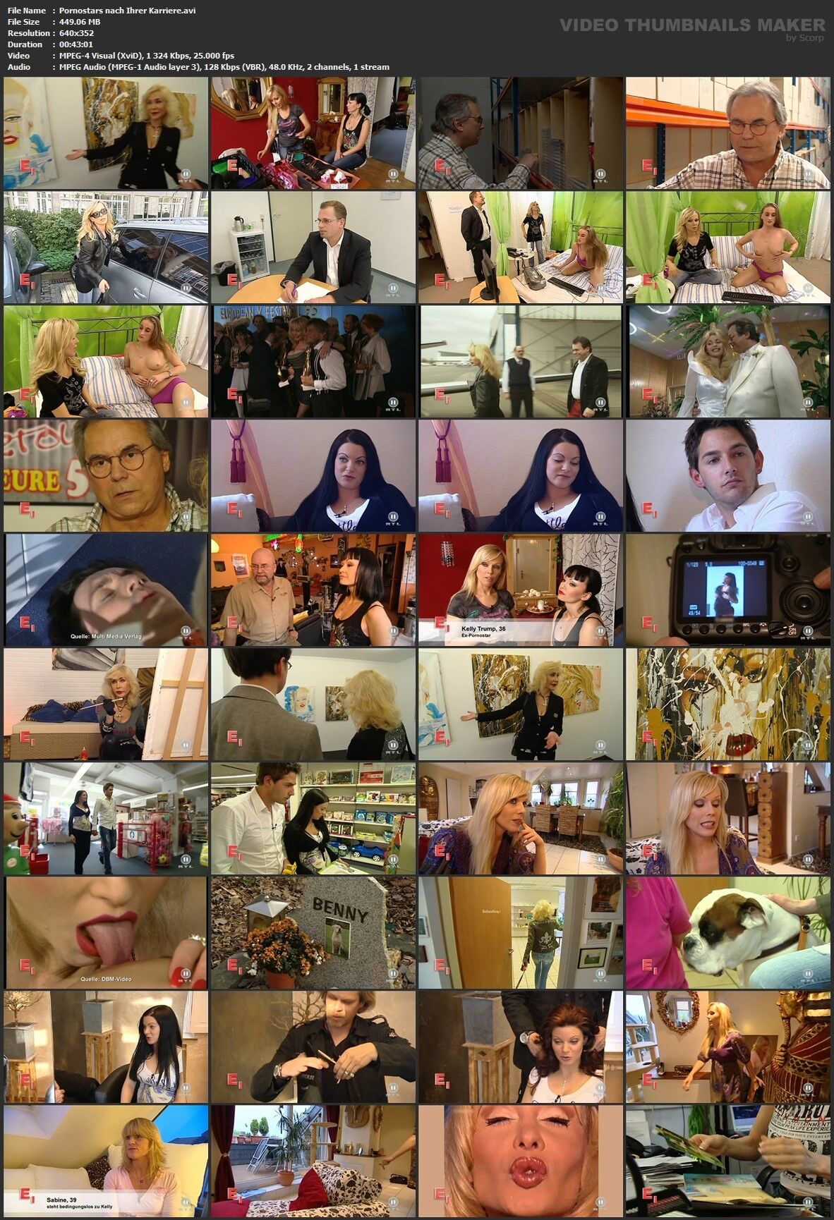 Sex War Gestern – Pornostars Nach Ihrer Karriere / Sex in the past – Pornstones after their career (Uwe Wesemann) [2009, Documentary, TVRip] (Kelly Trump, Dolly Buster, Leonie Saint) – Porn torrents download