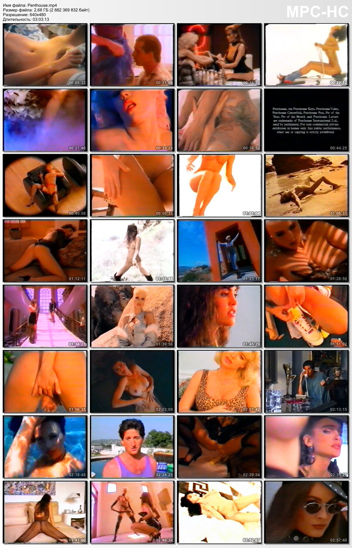 The Best of Penthouse / The Best of Penthouse (Paul Nevitt, A Vision) [1991, Erotic, Vhsrip] – Porn torrents download