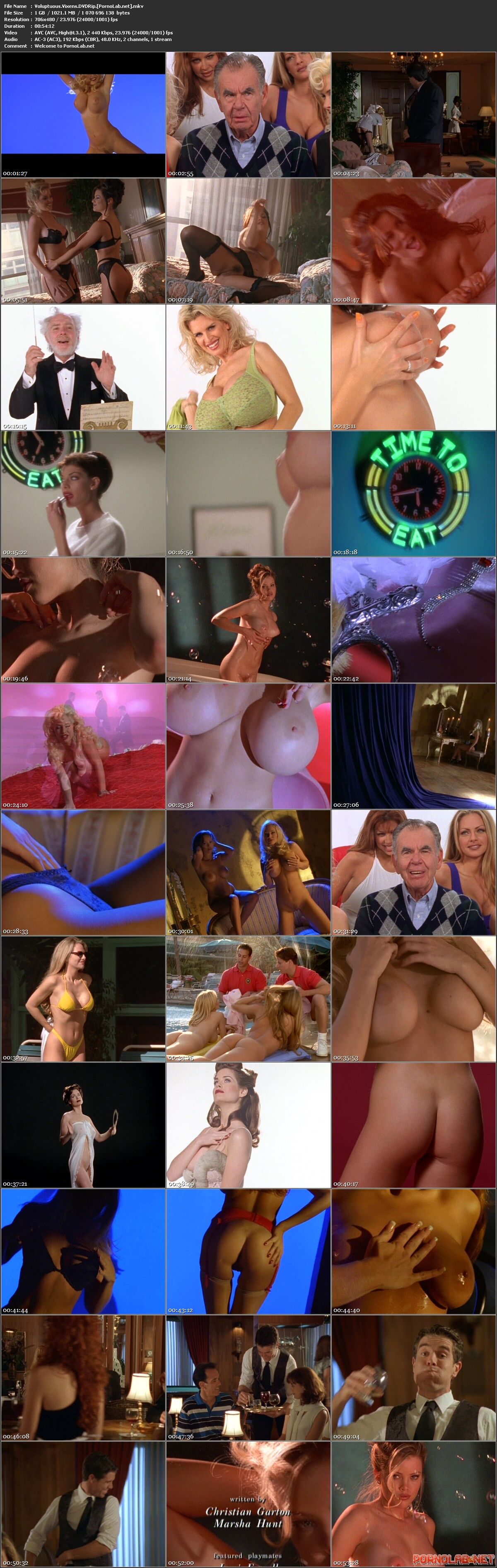 Voluptuous Vixens / Luxury Megeors (Scott Allen, Playboy Entertainment Group) [1997, Documentary, DVDRip] – Porn torrents download