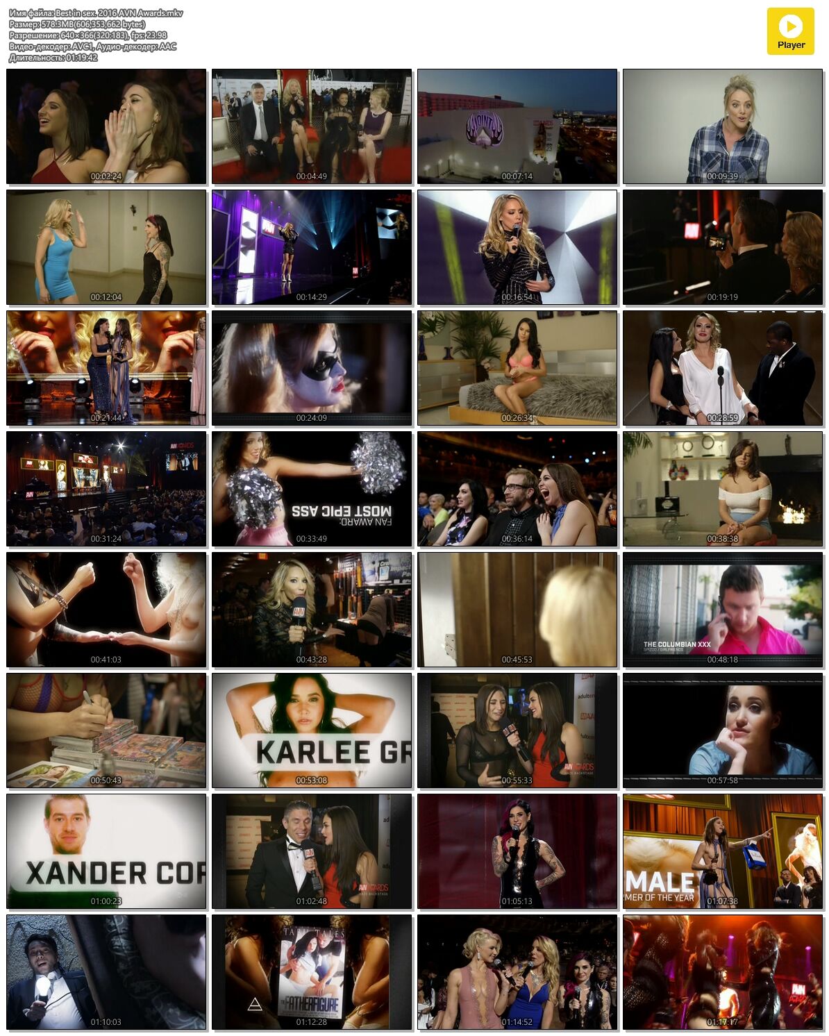 Best in Sex: 2016 AVN Avn Awards / Show AVN Awards 2016 (Gary D. Miller, Avn Media Network, Gary Miller Productions) [2016, Documentary, SatRip] [rus] – Porn torrents download