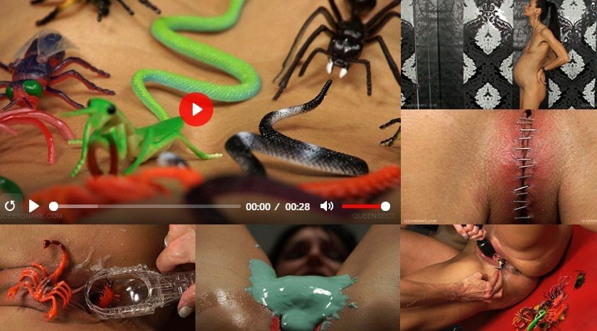 [1.7 GB] [QueenSnake.com / QueenSect.com] QueenSect [2012, BDSM, lezdom, humiliation, orgasm, stuffing, insertion, staples, electro, violet wand, 1080p] – Porn torrents download