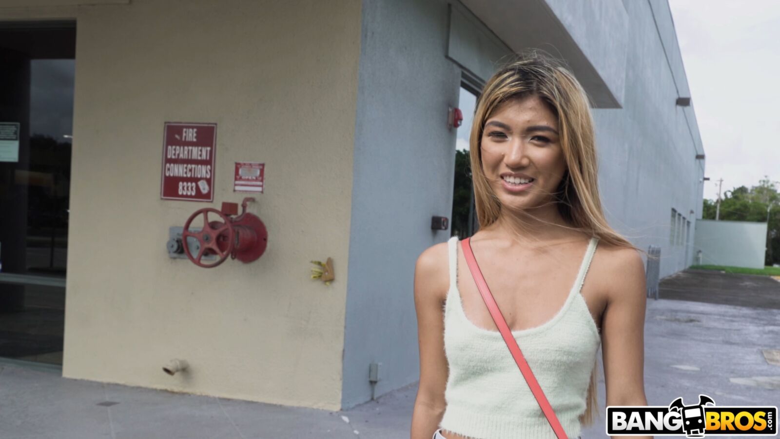 [6.7 GB] [Bangbus.com / Bangbros.com] Clara Trinity [2020-11-25, Blowjob, Hardcore, Facial Cumshot, Asian, Shaved, Natural, Petite, Skinny, Small Butt, 2160p] – Porn torrents download