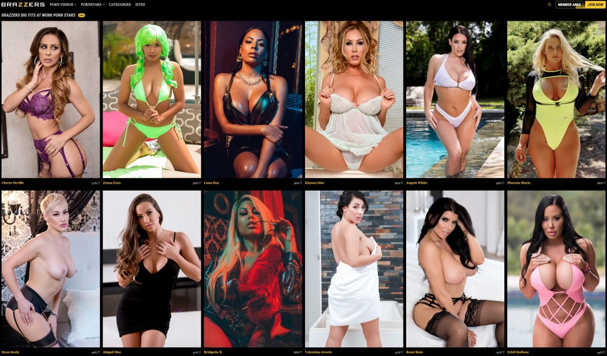 [247.04 GB] [bigtittsatwork.com / brazzers.com/1 Part of 4] (85 rollers out of 337) All rollers in 1080p to 2016-02 [2013-06-10 – 2016-02-04, Sex / Teen / Milf / Anal] SiteRip 1080p – Porn torrents download