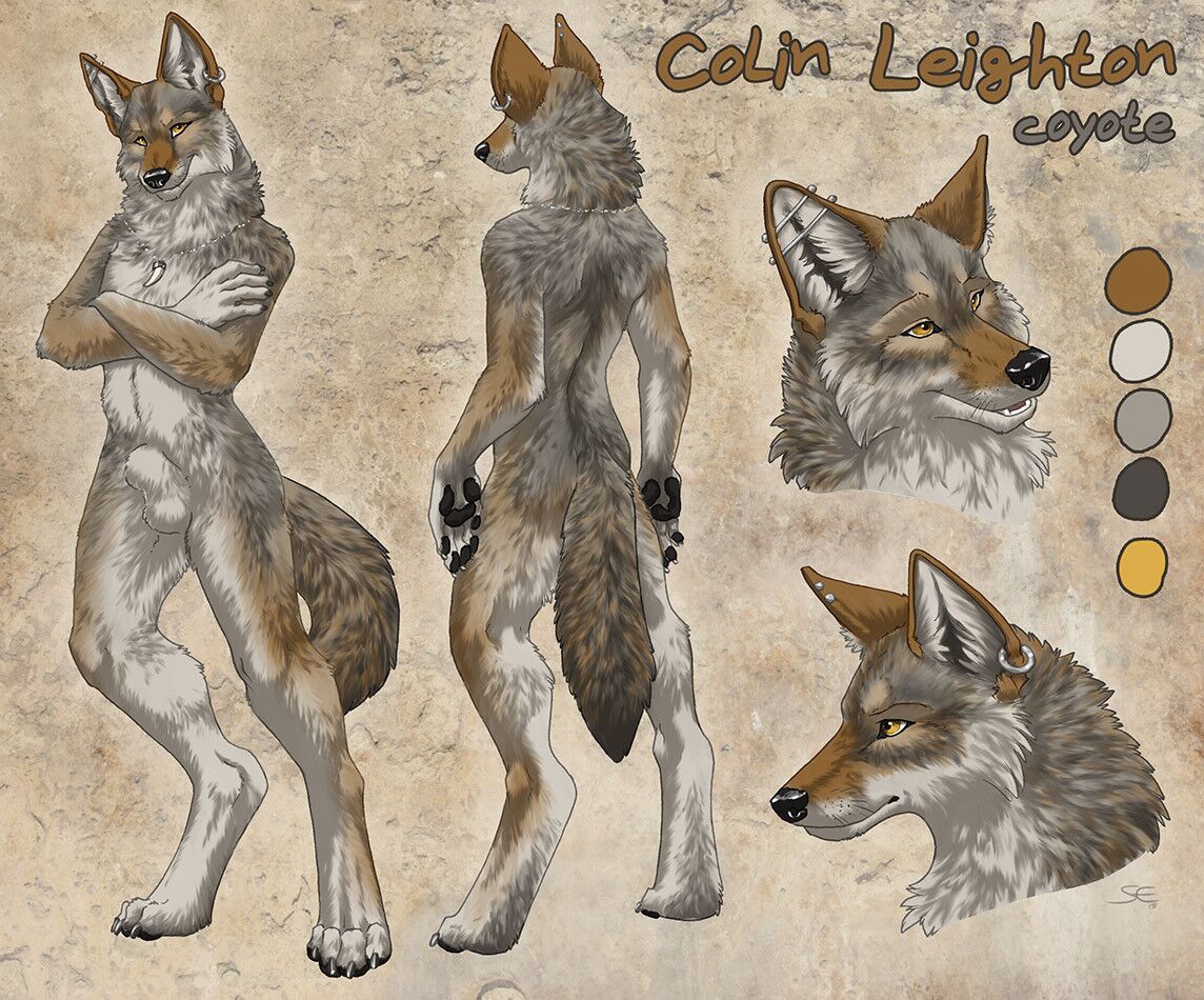 [524.52 GB] [Misc] Furaffinity.net SiteRip Part 3 of 18 (Brainlesslion … Coryanimations) [Furry, Yiff] [PNG, JPG, GIF, SWF etc.] – Porn torrents download