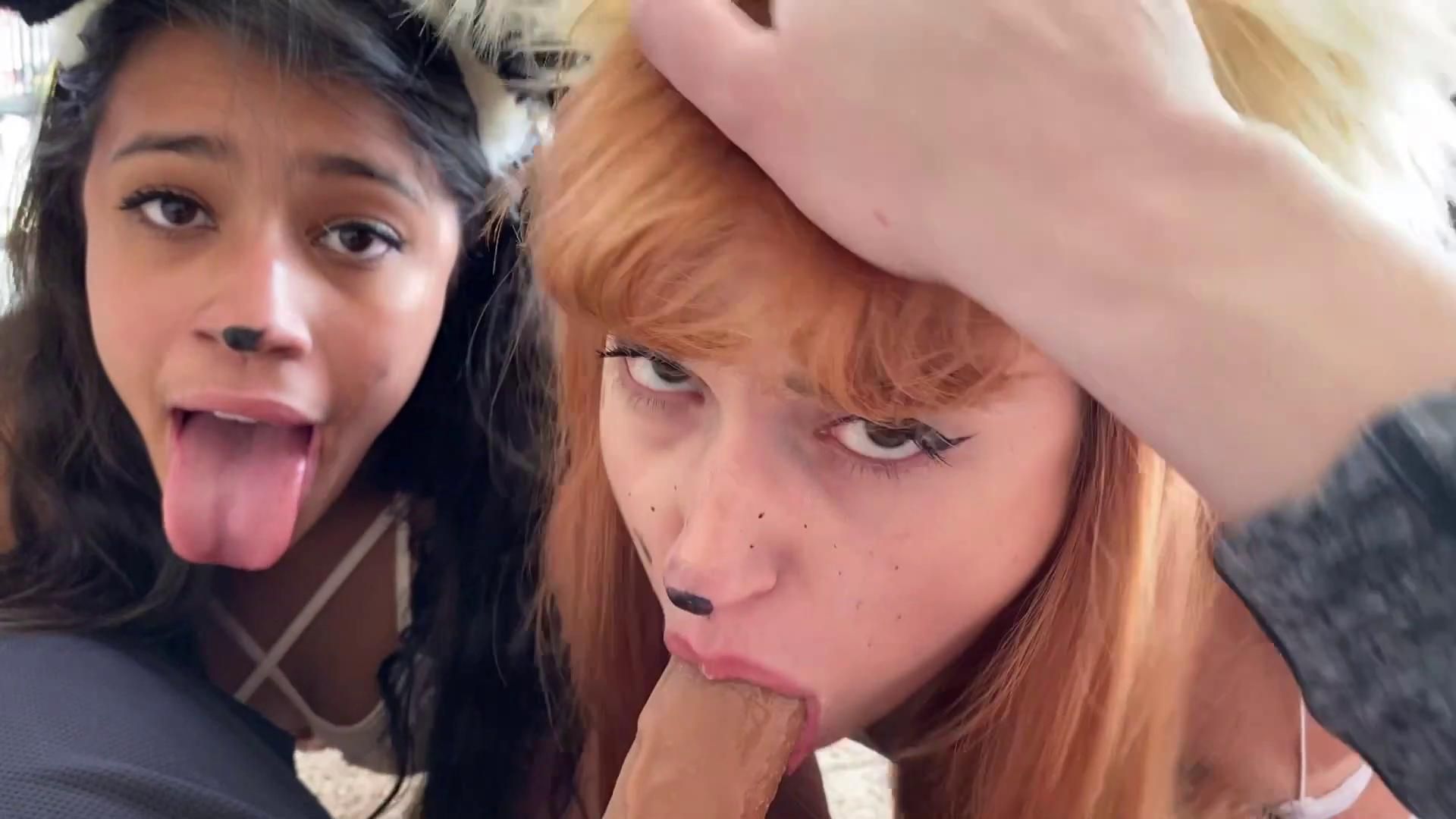 [29.3 GB] [Manyvids.com] Caraday – 57 Rollers (Megapack) [2017-2020, Allsex, Solo, Lesbian, Blowjob, Cosplay, Roleplay, PetPlay, Animal Play, Masturbation, Toys, 720p, 1080p] – Porn torrents download