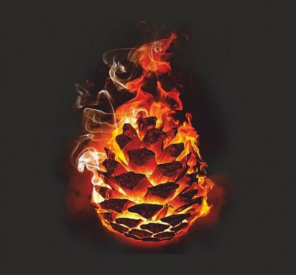 [17.81 GB] Lianagood / Liana Good Megapack (109 Rollers) (PornHub) [2019-2021, Femdom, Ruined Orgasm, Tease and Denial, Joi, Bondage, Strapon, Russian, Chastity, CBT, Post Orgasm Torture, HandsFree Orgasm , Handjob, Foot Fetish, Toys, Edging, Spanking, 1080p, 720p, Web-DL] – Porn torrents download