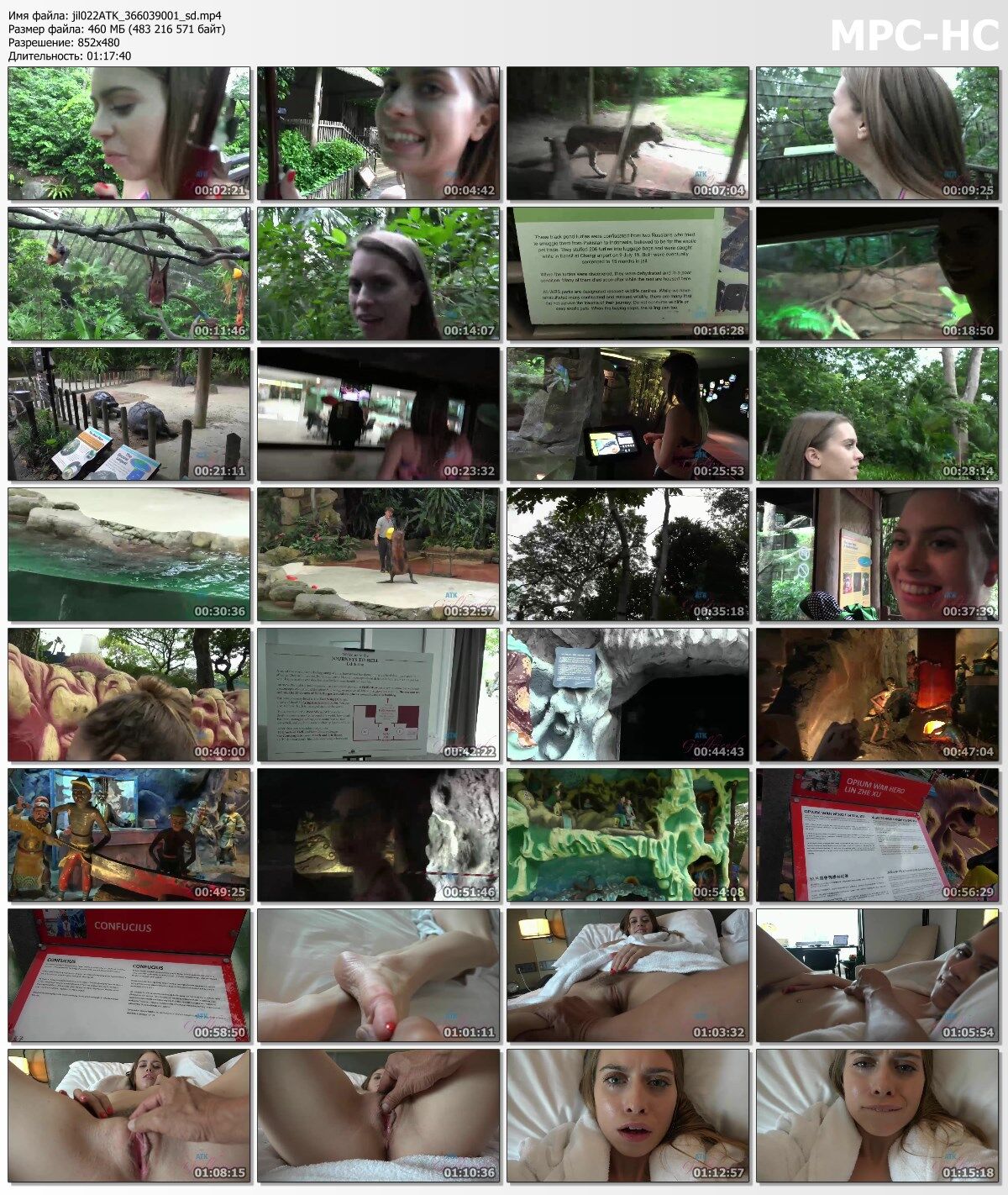 [Atkgirlfriends.com] Jill Kassidy (Singapore 3/9) [2019, POV, ORGASM, MASTURBATION, DADDY, 480P] – Porn torrents download