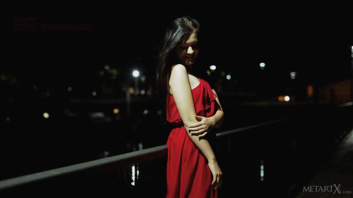 [Metartx.com] 2010-10-05 Anie Darling – Night Lights 2 [Nude, Posing, Mastrubation] [2160p, HDRip] – Porn torrents download