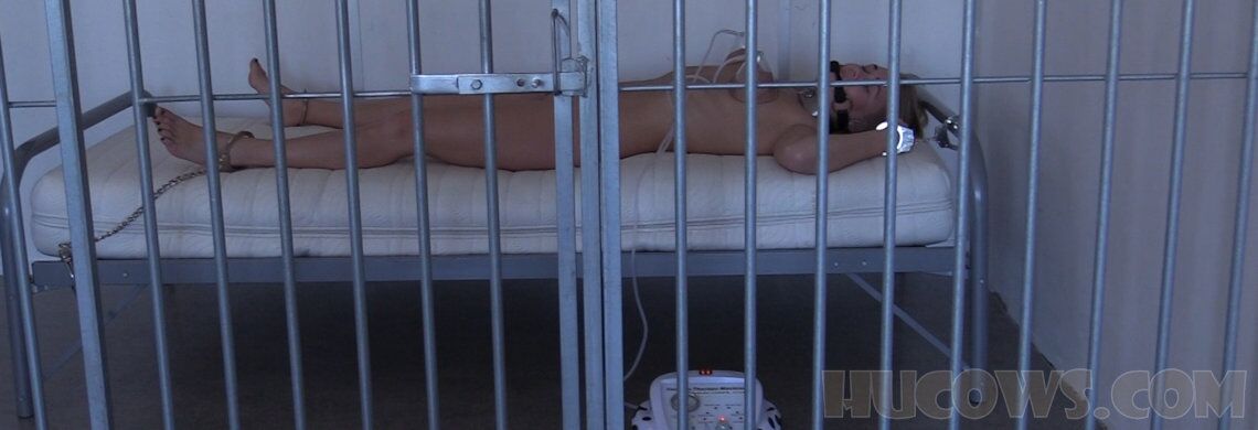 [Hucows.com] Darina – Night Pumping / Darina – Night pumping [2021-11-20, Bondage, Metal Collar, Gag, Handcuffs, Breast Training Machine, Nipple Clamps, 1080p, HDRip] – Porn torrents download