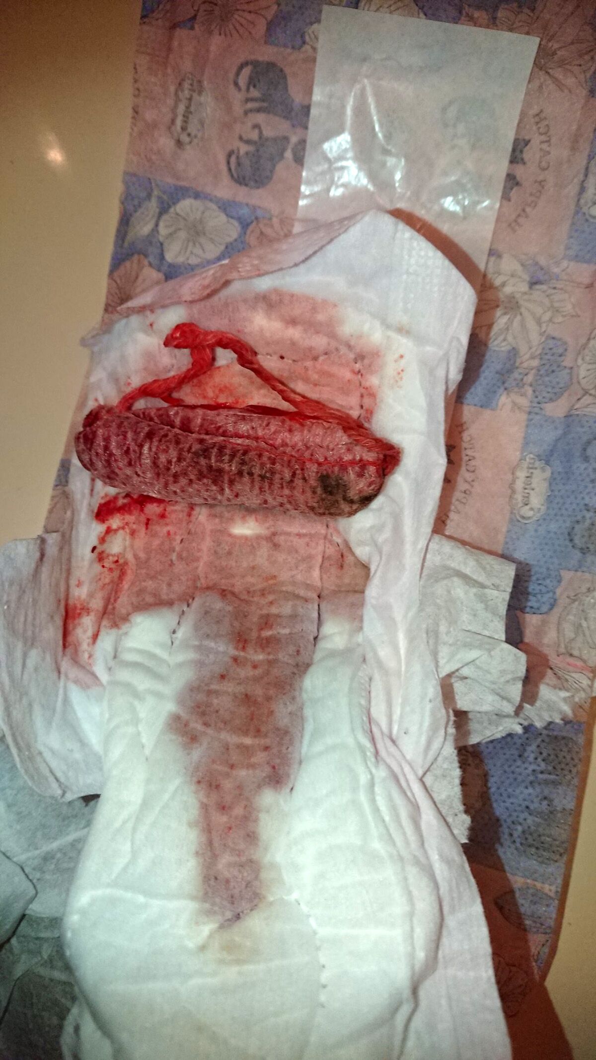 2021-12-01 Used gaskets and menstruation (part 77) [Menstruation, Tampons, Pads, Period, Blood] [1000 * 750 to 4752 * 3168, 500 photos] – Porn torrents download