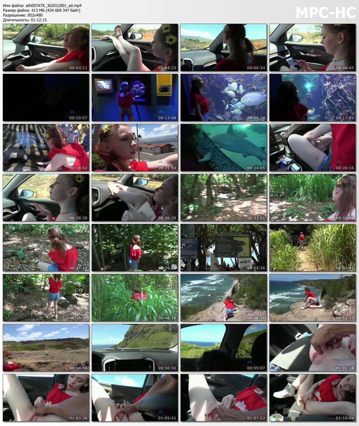 [Atkgirlfriends.com] athena rayne (Virtual Vacation Hawai 3/8) [2018, POV, Masturbation, Orgasm, 480p] – Porn torrents download