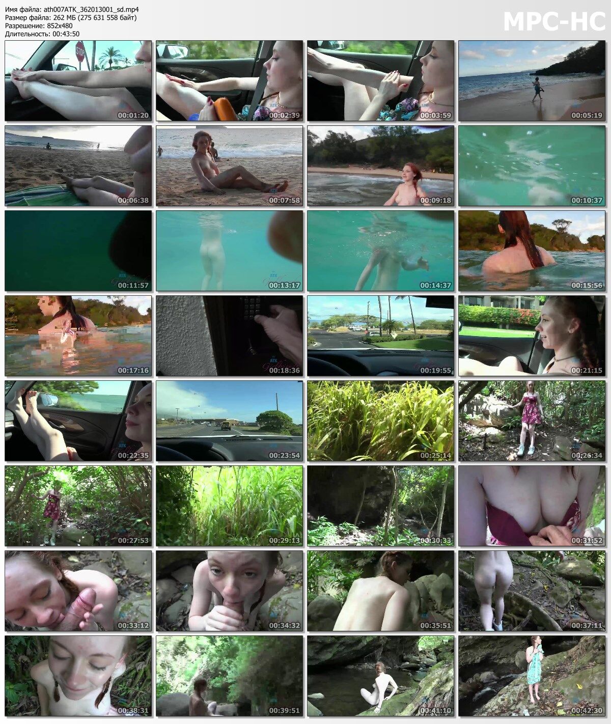 [Atkgirlfriends.com] athena rayne (Virtual Vacation Hawai 4/8) [2018, POV, Piss, Blowjob, Nude Beach, All Sex, 480p – Porn torrents download