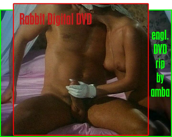 Classic, DVDrip] (Rosa Caracciolo, Rocco Siffredi, Nikita Gross, Tao, Tina, Zoltan Kabai, Lulu, Lana Jalta) – Porn torrents download