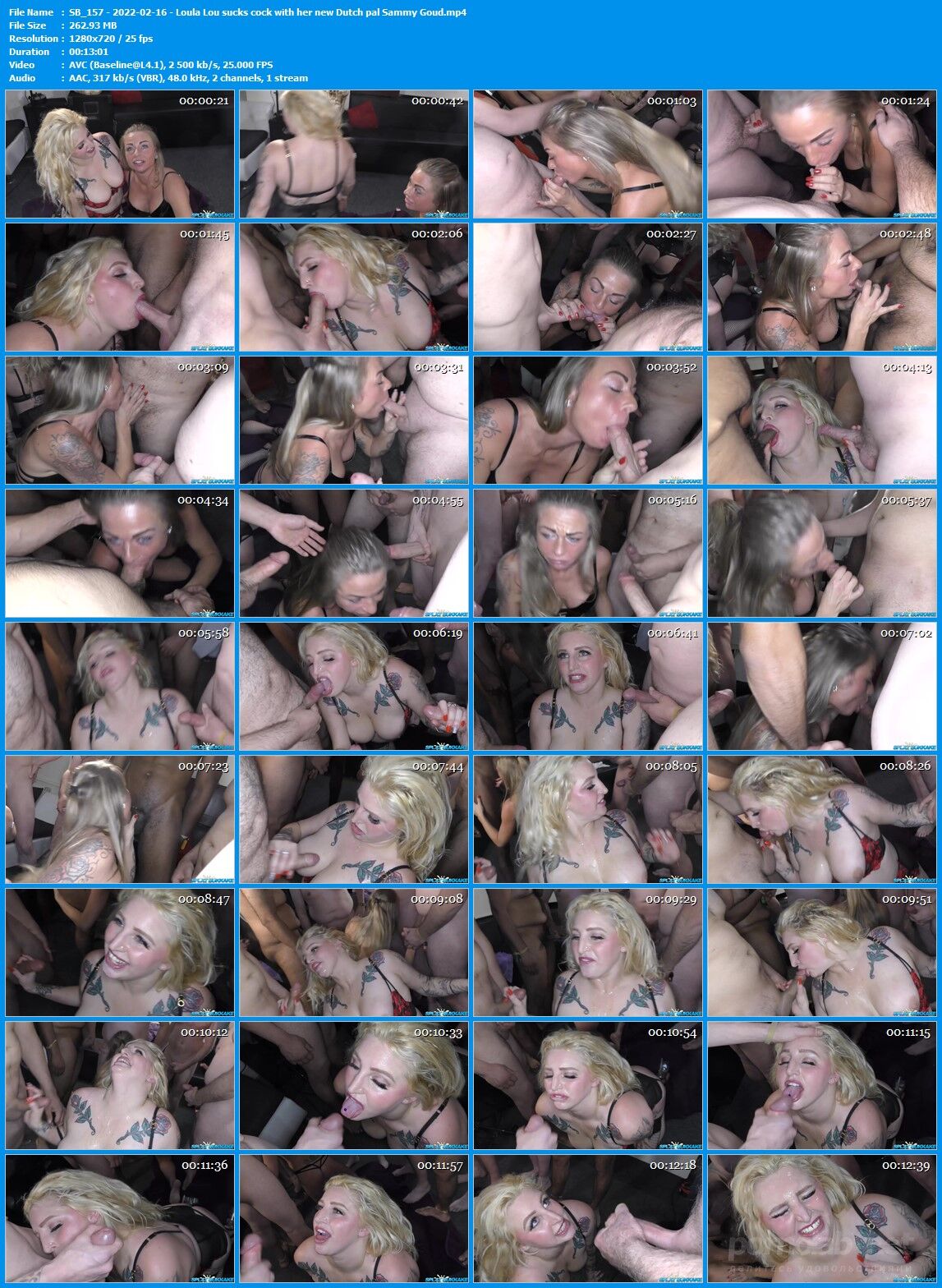 , Blowjob, Balls Licking, Handjob, Cumshot, Cum on Tits, Facial, 720p] – Porn torrents download