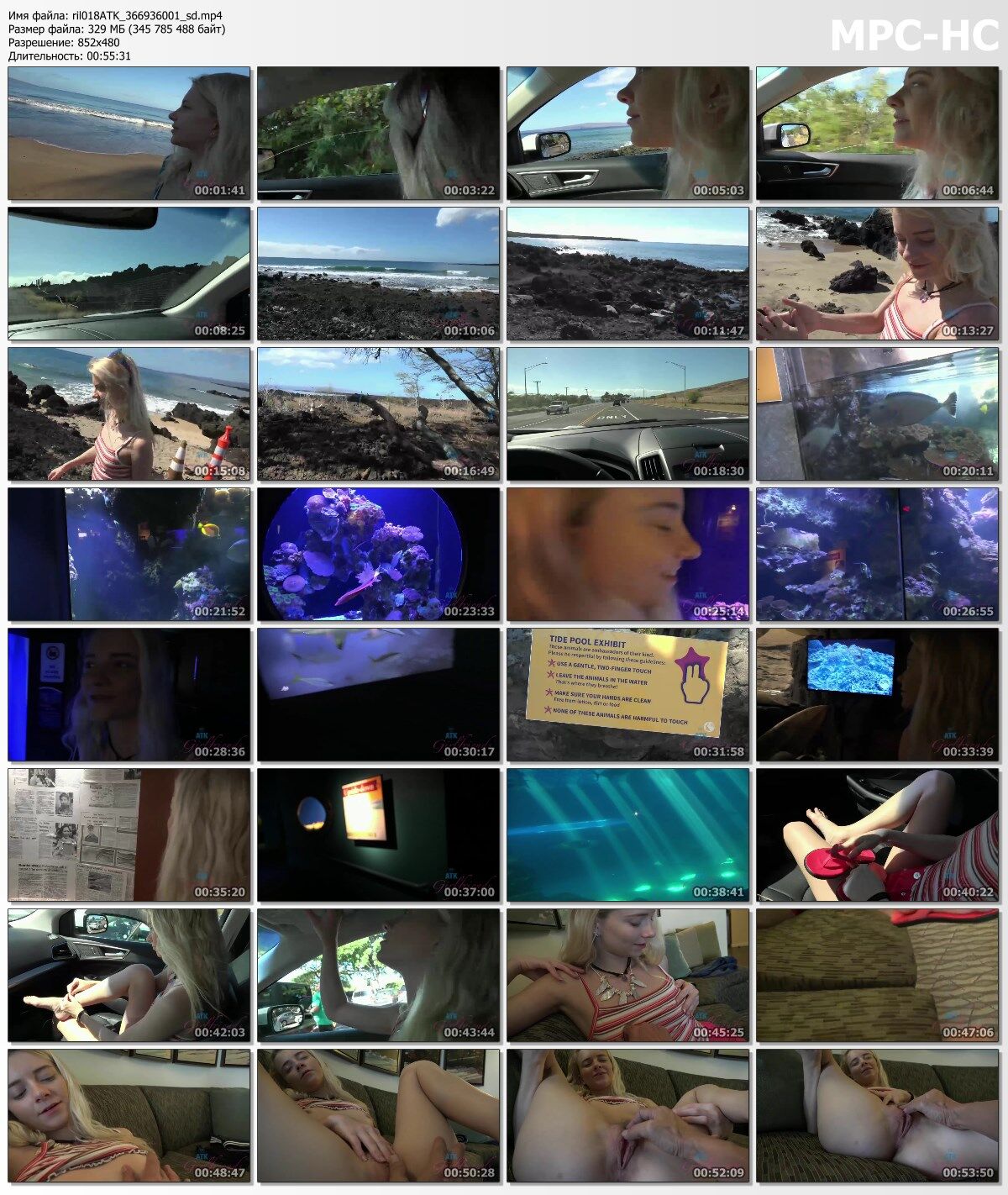 [Atkgirlfriends.com] Riley Star (Hawaii 3/11) [2019, Squirt, Orgasm, Masturbation, Skinny, Pov, 480p – Porn torrents download