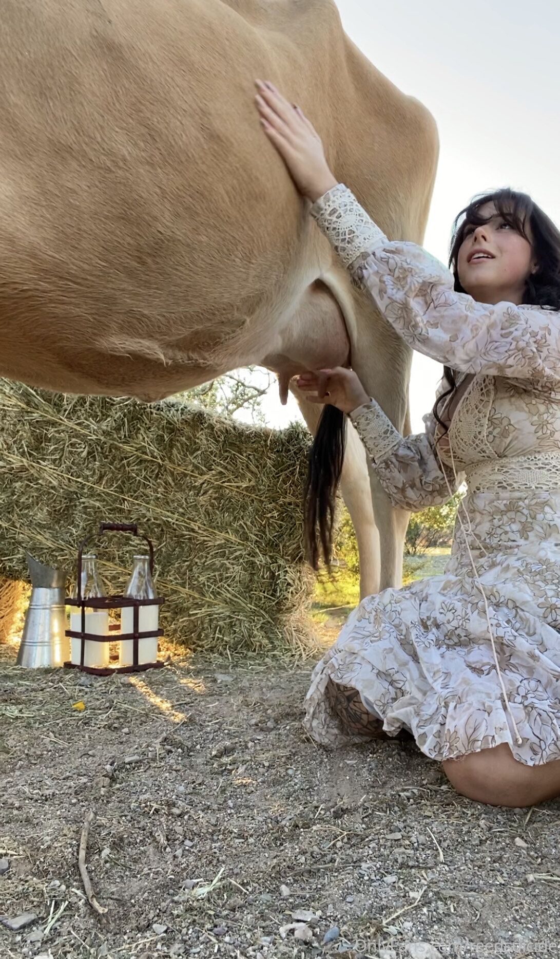 Reed [Onlyfans.com] [2019-2020] [Solo, Posing] [640×392 – 3840×5760, 1135 photos] – Porn torrents download