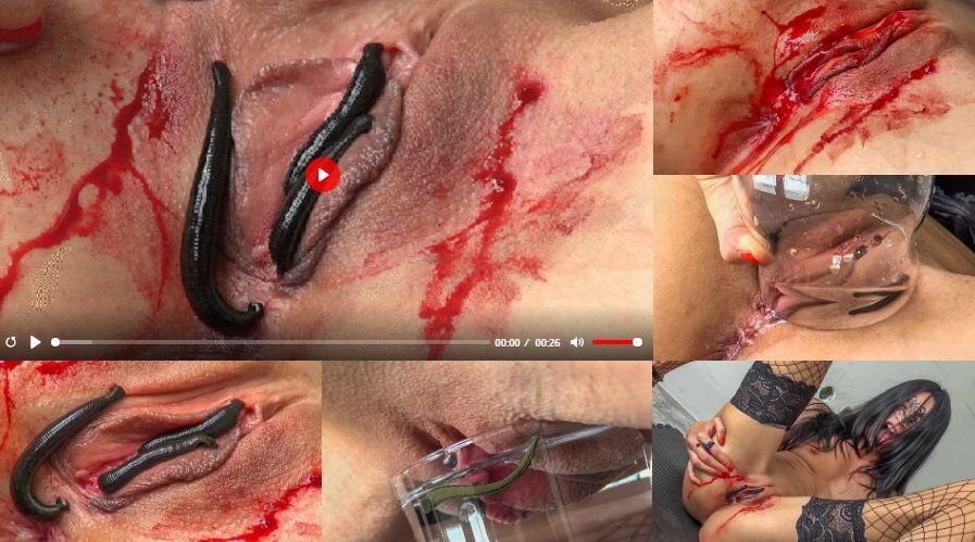 [Queensect.com / Queensnake.com] vampires [11/24/2017, BDSM, Bugs, Insects, Worm, Orgasm, Blood, 1080p – Porn torrents download