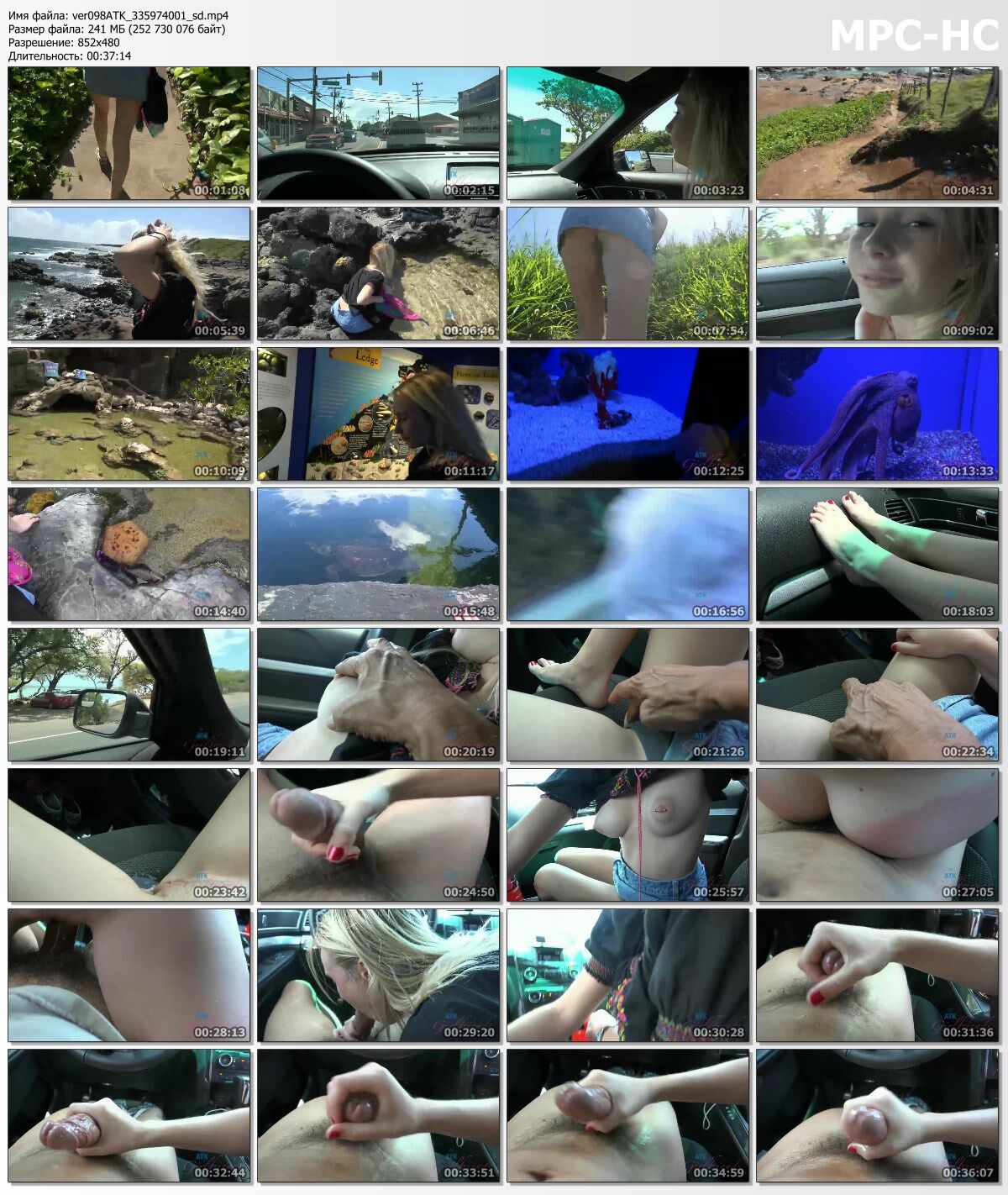 [Atkgirlfriends.com] Peyton Coast aka Vera Rain (Hawaii 5/7) [2016, Cum on Feet, Squirt, Blowjob, Handjob, Orgasm, Skinny, Sex in Car, POV, All SEX, 480P] – Porn torrents download