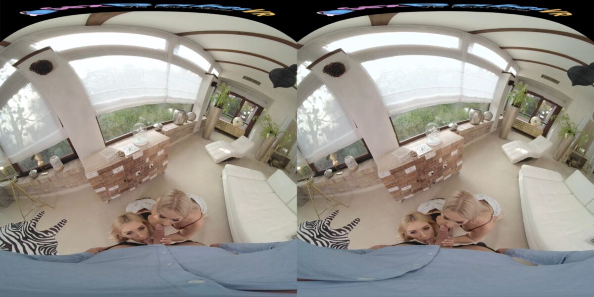 Big Tits, Fake Tits, Medium Tits, Natural Tits, Fingering, Cum on Tits, Cowgirl, Reverset Cowgirl, Missanceary, Doggystyle, Sidebyside, Siterip] [Samsung Gear vr] – Porn torrents download