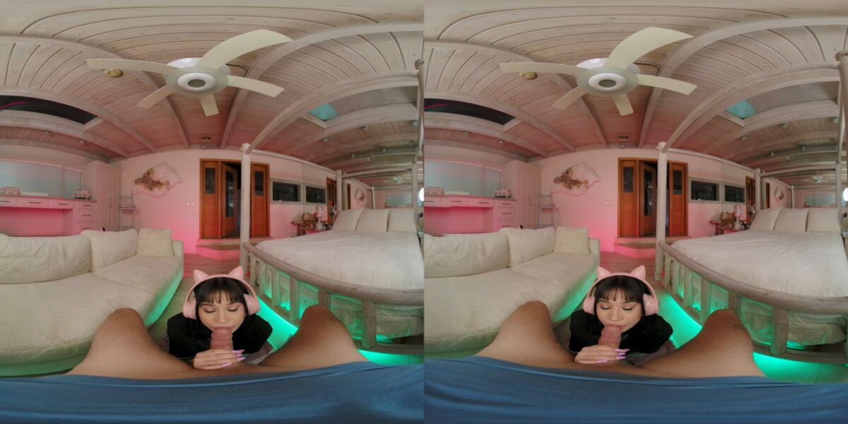 Small Tits, Natural Tits, Cowgirl, Reverse Cowgirl, Missionary, Doggystyle, Sidebyside, 2048p, Siterip] [Oculus Rift / Vive] – Porn torrents download