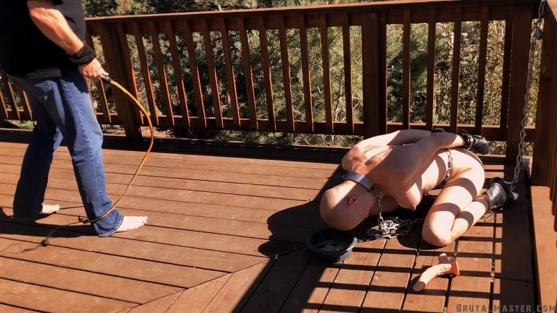 [BrutalMaster.com] Greyhound Training Day Part 2 [23.02.2023, BDSM, Humiliation, Torture, Whipping, 1080p] – Porn torrents download