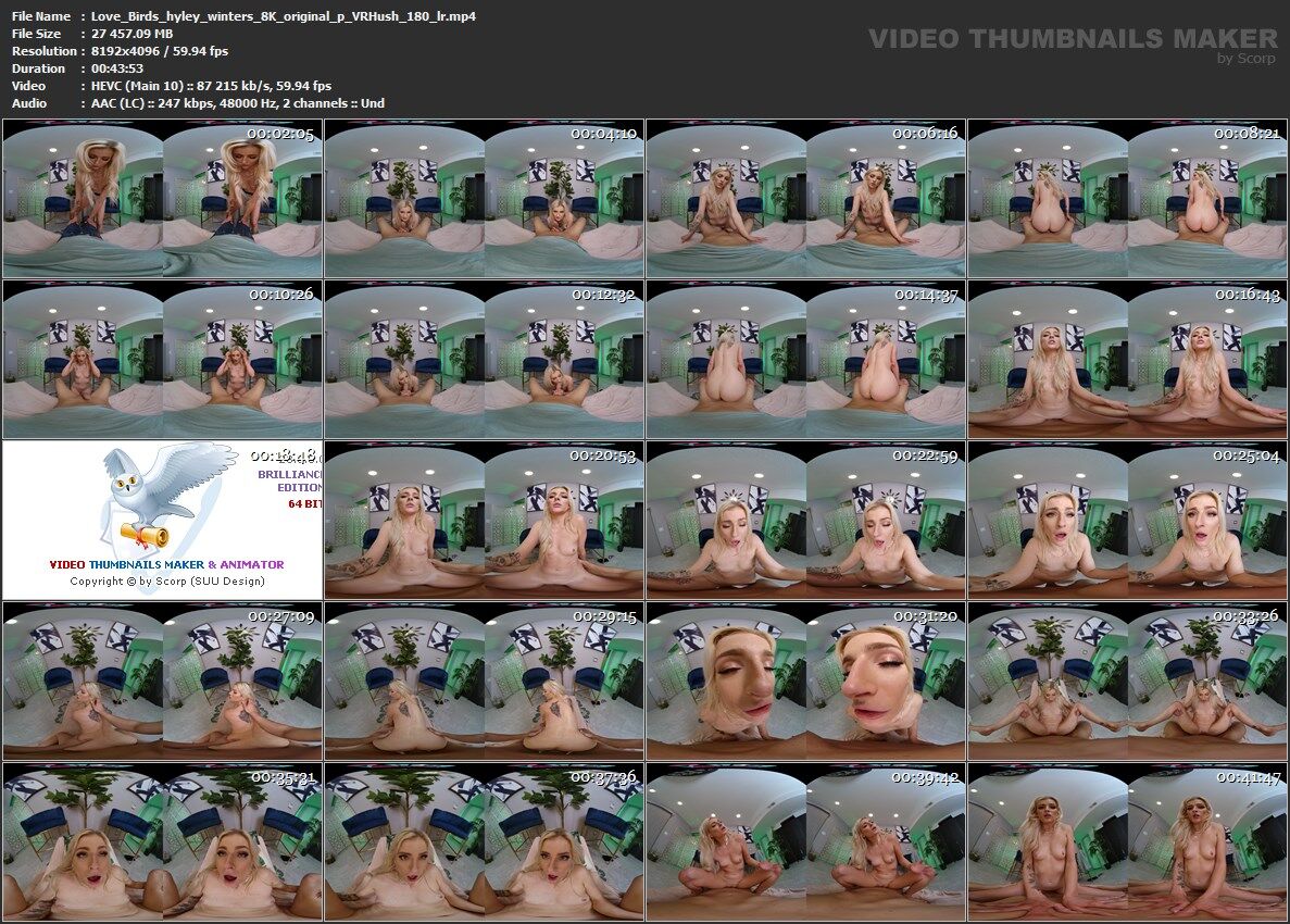[VRHush.com] Hyley Winters – Love Birds [2023-04-01, VR, Blonde, Blowjob, Cowgirl, Doggystyle, Hardcore, Missionary, Small Tits, POV, GFE, Shaved Pussy, 8K, SideBySide, 4096p, SiteRip] [ Oculus Rift/Vive] – Porn torrents download