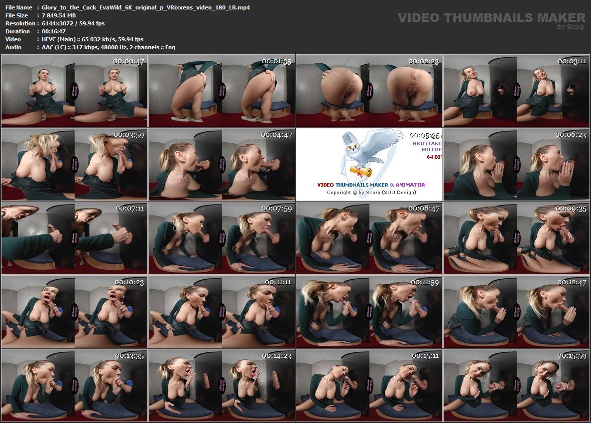 [SexLikeReal.com/VRixxens] Eva Wild – Glory to the Cuck [2022-12-27, VR, Big Tits, Blowjob, Cum In Mouth, Gloryhole, Handjob, MILF, NonPOV, SideBySide, 3072p, SiteRip] [Oculus Rift / vive] – Porn torrents download