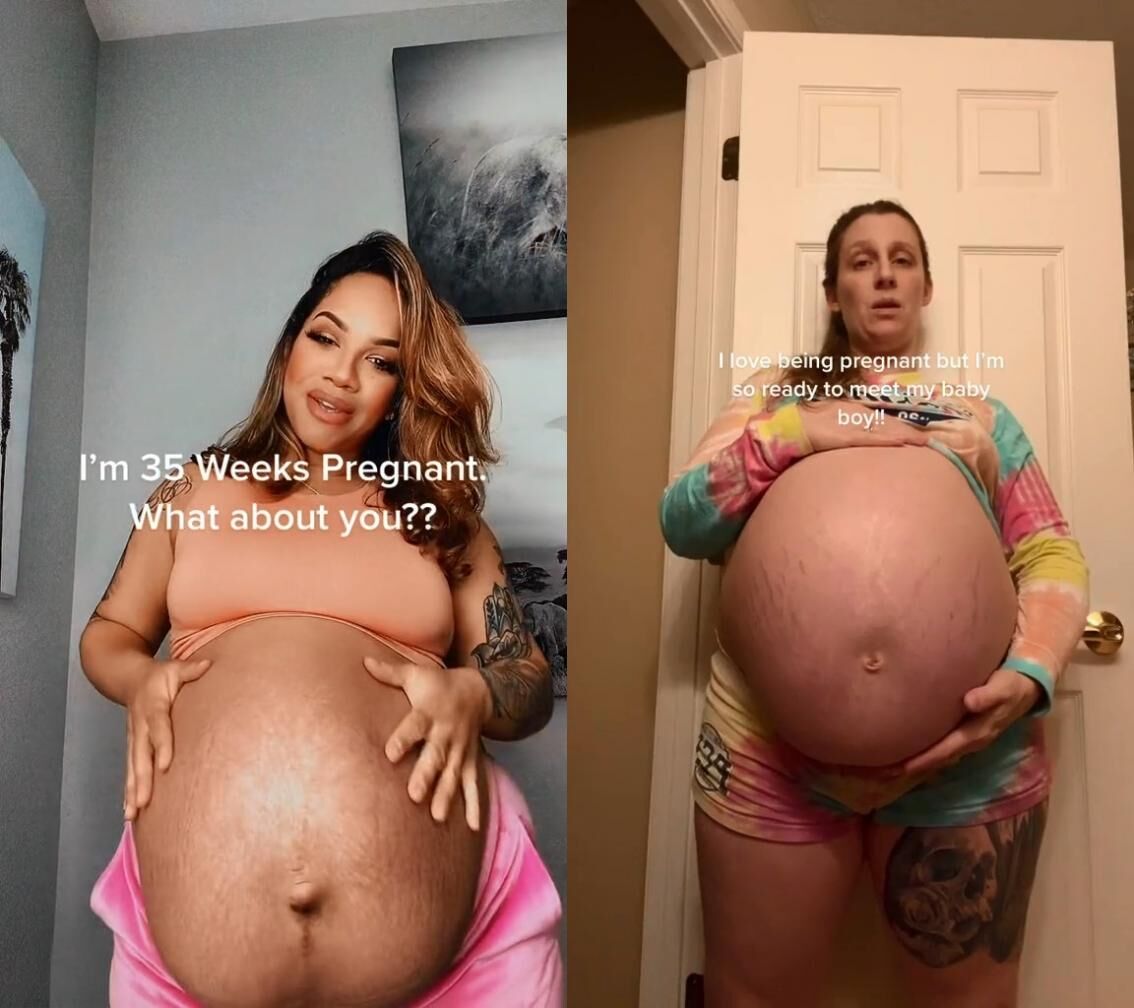 [TikTok.com] Brookesobasic & Renae W - NN Monster Bump Pregnant Compilation [2022, solo, pregnant, non nude, 720p, SiteRip] | Free Porn Torrent
