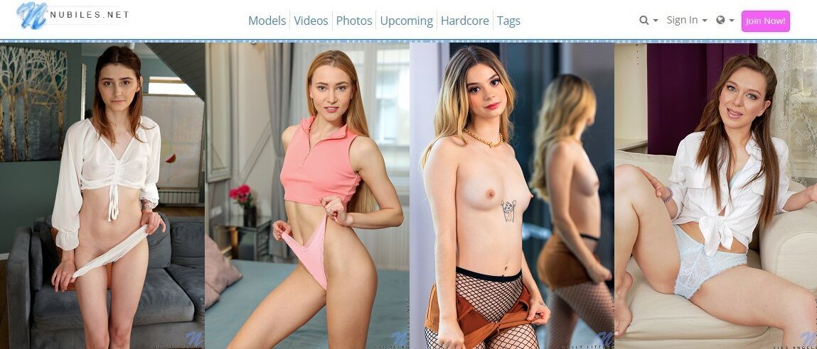 [Nubiles.net] 2022 Year Full Pack, SiteRip [Solo, Posing, Masturbation][2400×3600, 51540 photos, 638 sets] – Porn torrents download