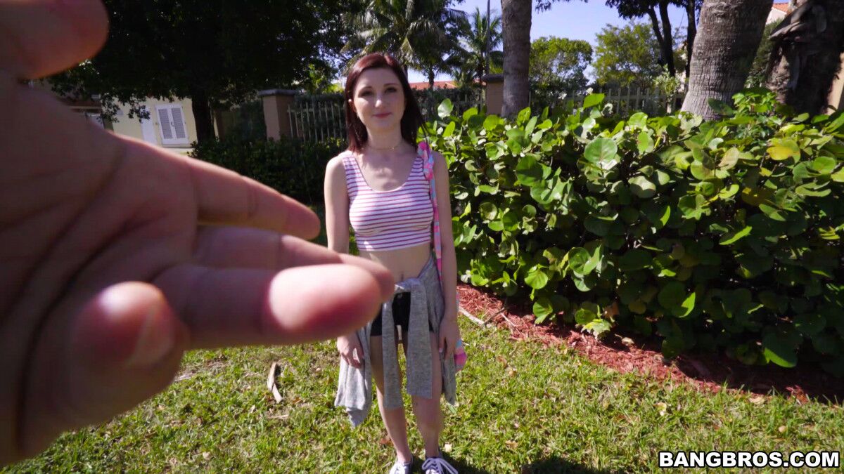 [BangBus.com / BangBros.com] Hailey Little – Petite cutie shows her wild side (bb15830) [2017, Teen, All Sex, Blowjob, Hardcore, Brunette, Pale, Small Tits, Cumshot, 2160p, SiteRip] – Porn torrents download