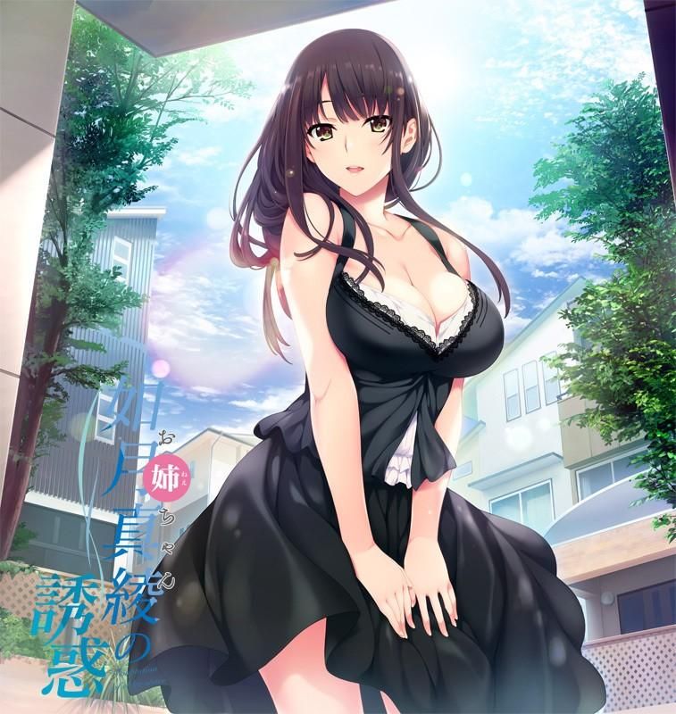 如月真綾の誘惑 / Onee-chan no Yuuwaku [1.0] (hibiki works) [cen] [2018, ADV, Romance, Vaginal, Oral, Blowjob, Big tits, Titsjob, Handjob, Footjob, Incest, Male Protagonist] [rus( auto)+eng] – Porn torrents download
