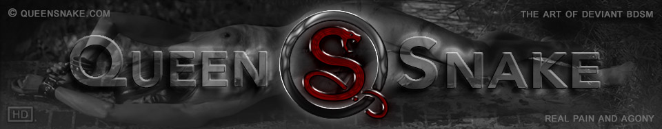 [Queensnake.com] QS SiteRip 2017 - 04.2022 (273 ролика) [2017 - 2022 г., BDSM, Bondage, Electro, Insertion, Lezdom, Nettles, Nipples, Outdoor, Pee, Pussy Torment, Rubber-band, Speculum, Whipping, Wax, 720p]