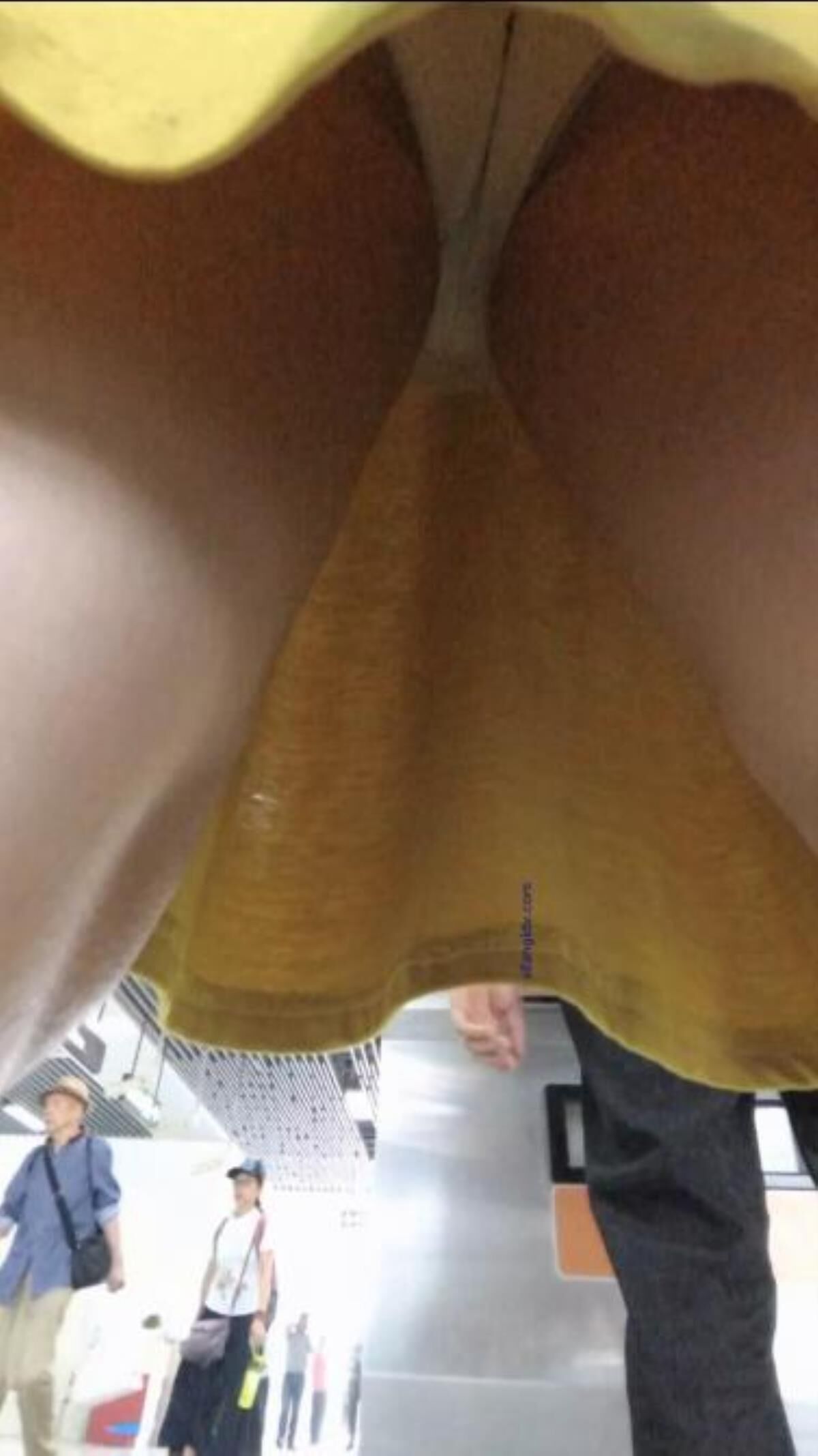 [95.07 GB] Hidden-Zone Asian Edition Pack 342 29 May 2024 (150 Clips) – Porn torrents download