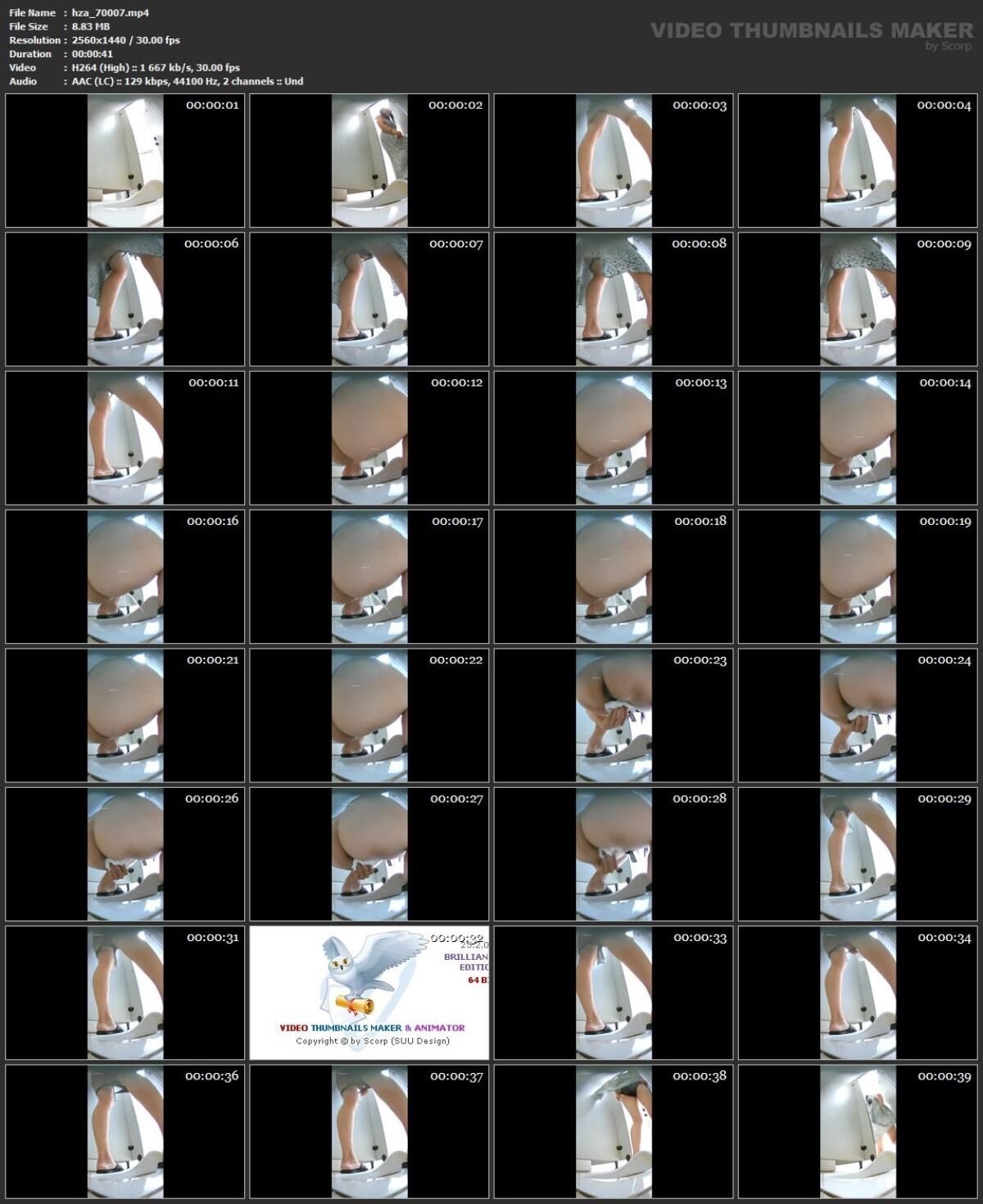 [94.97 GB] Hidden-Zone Asian Edition Pack 360 16 June 2024 (150 Clips) | Free Porn Torrent