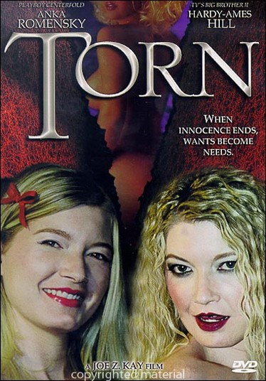 Summer Desire / Torn / Летнее желание (Scott Leff, Pendulum Picturies / Laguna Entertainment) [2001 г., Erotic, DVDRip] Amanda Collins, Anka Romensky, Chantell Thomas, Mary Milligton