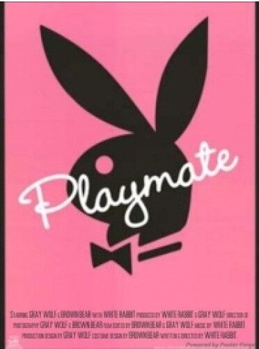 Playboy – Playmates Profiles / 2011 Playboy – Profiles Pleymet 2011 (Scott Allen / Playboy Entertainment Group) [2011, Documentary, Erotic, DVD5] – Porn torrents download